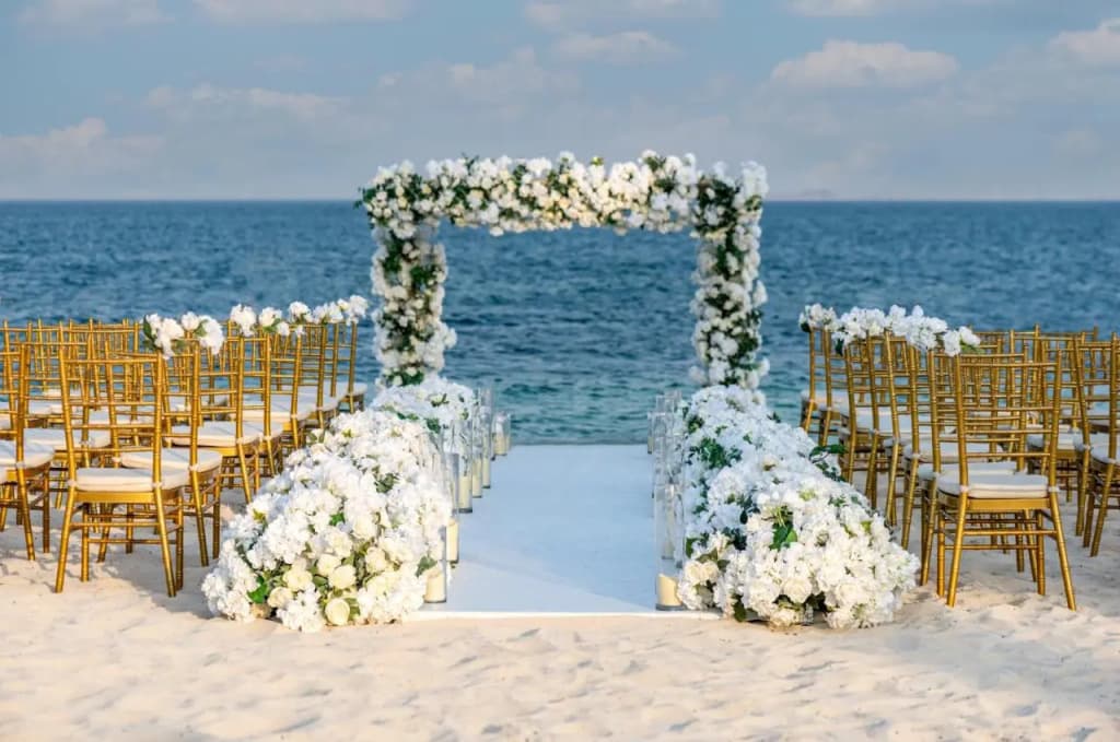 Al Maya Island & Resort - photo 16