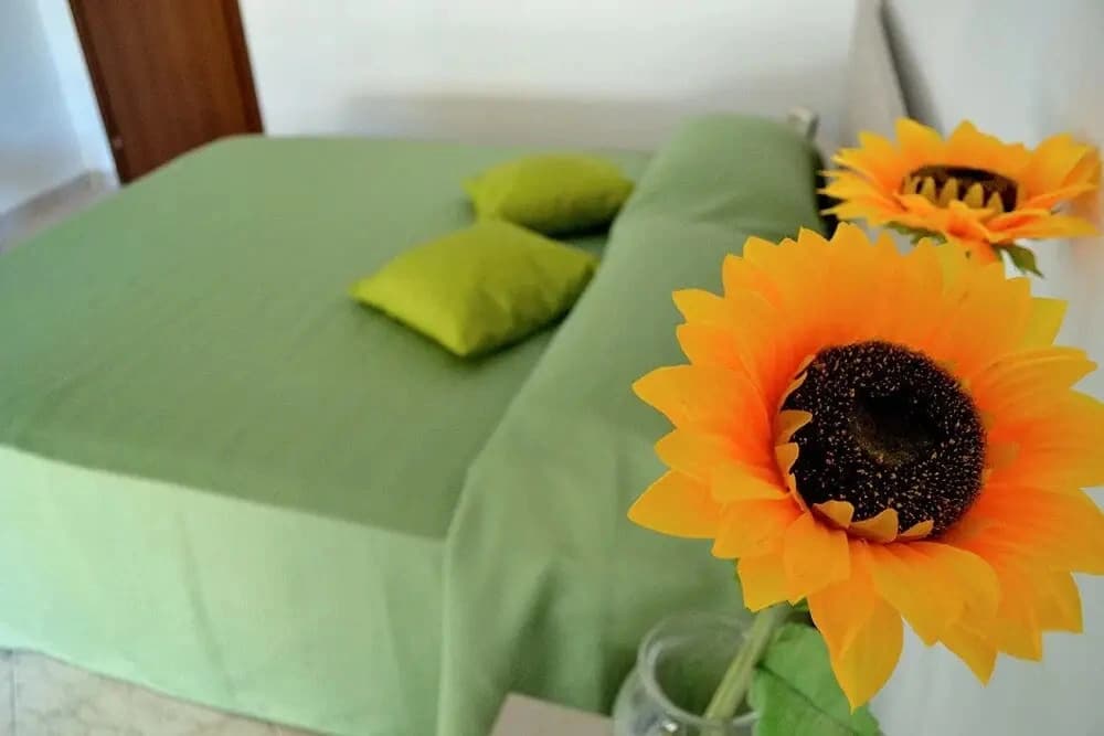 Alessandro's Apartment - photo 13