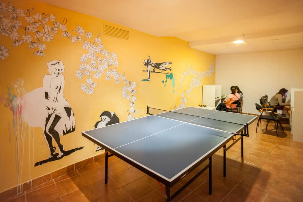 Las Musas Hostel - photo 14