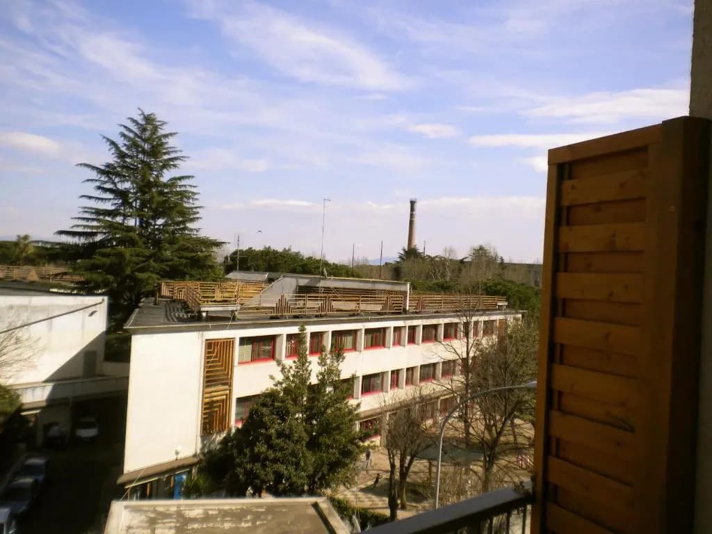 Alba Romana BB - photo 12