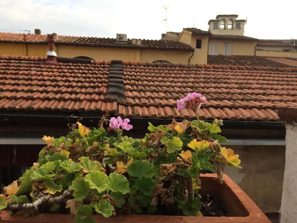 Il Bargellino - photo 19