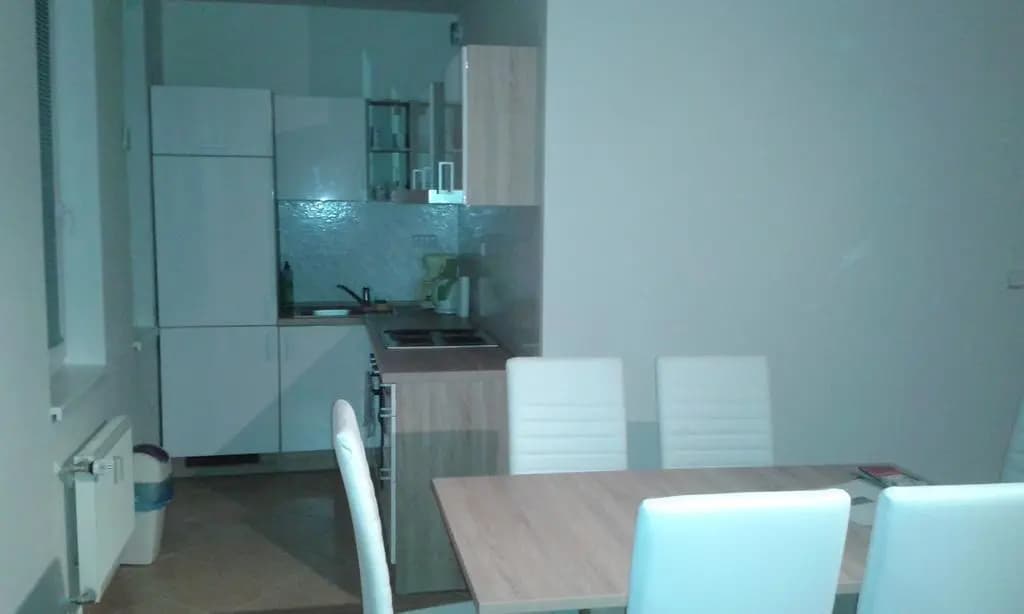 Apartment Jelinex - photo 6