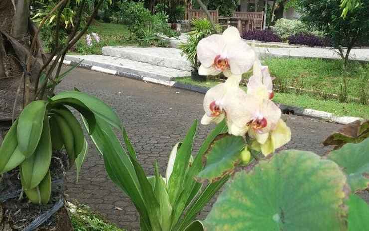 Hotel Griya Permai - photo 22