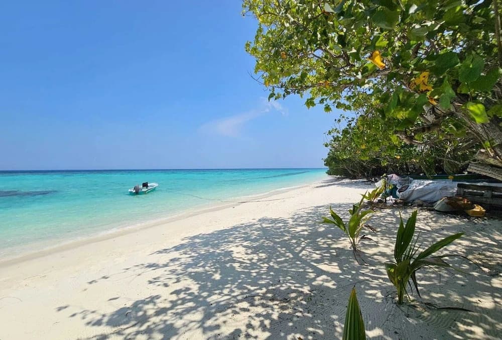 Kuri Himandhoo Inn - photo 22