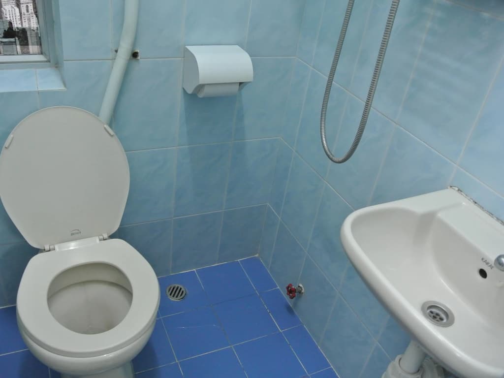 Fortunate Guest House - photo 8
