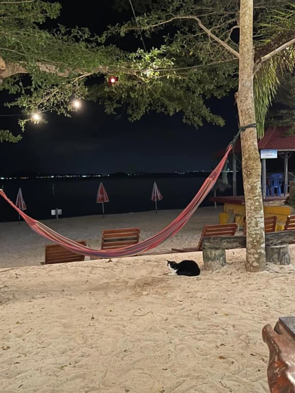 Kapas Coral Beach Resort - photo 15