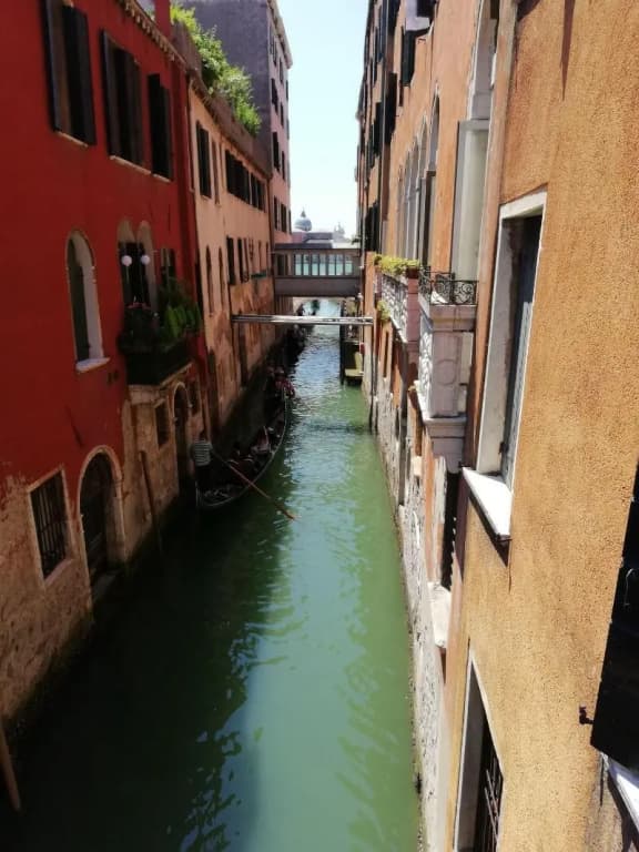Hotel Maison Ducal - photo 16