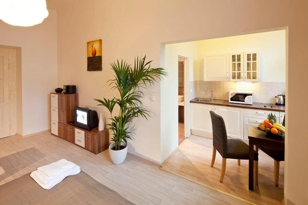 Apartments Dusní - photo 17