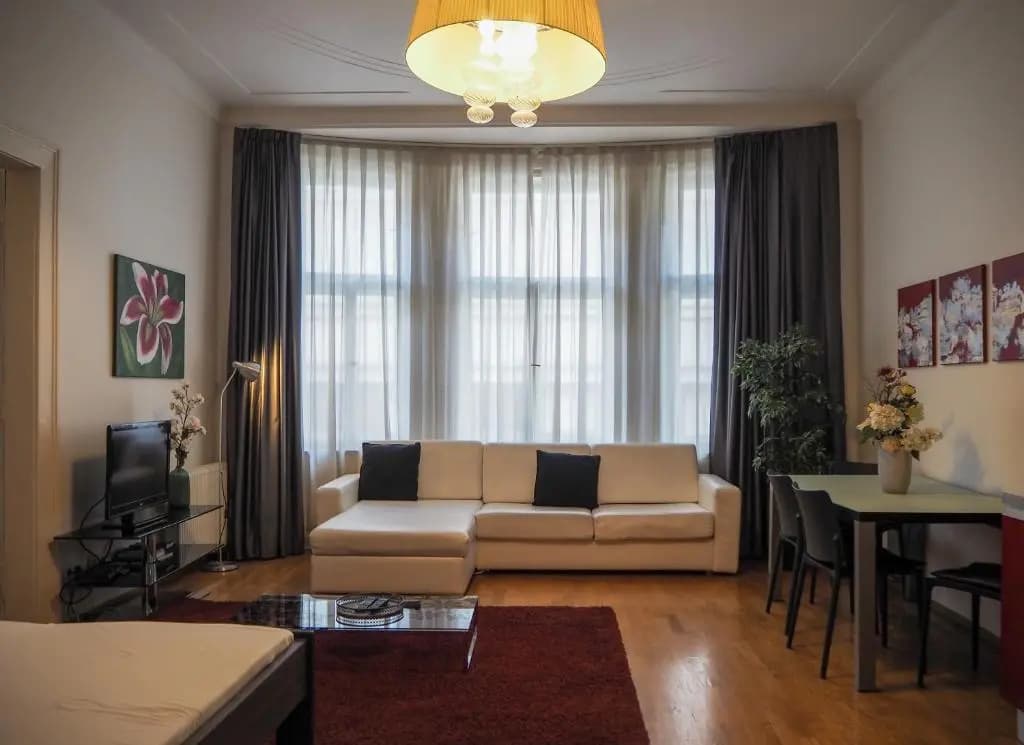 Zatecka 4 Old Town Apartment - photo 8