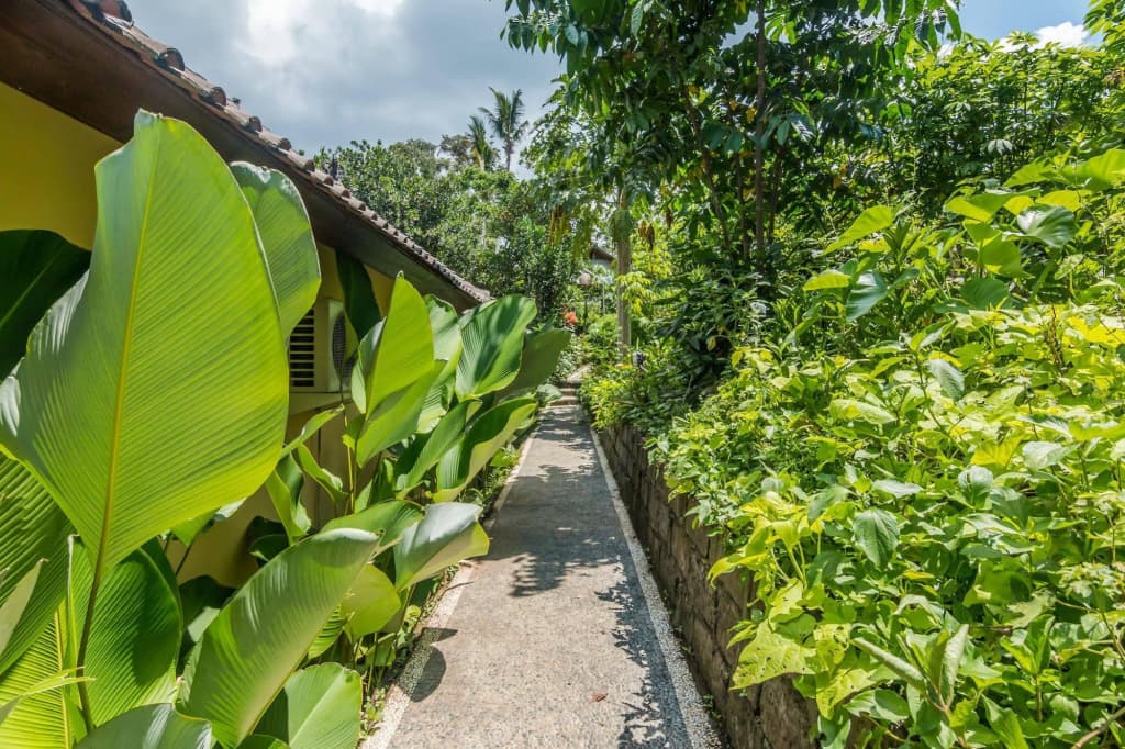 ZEN Rooms Ubud Mas - photo 11