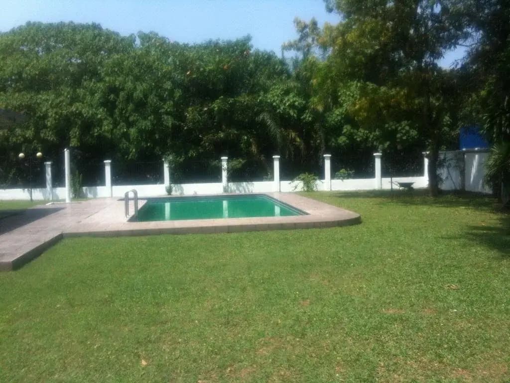 The U Thant - photo 14