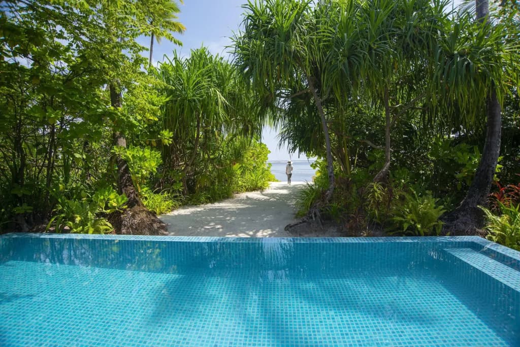The Residence Maldives at Dhigurah Hotel - photo 21