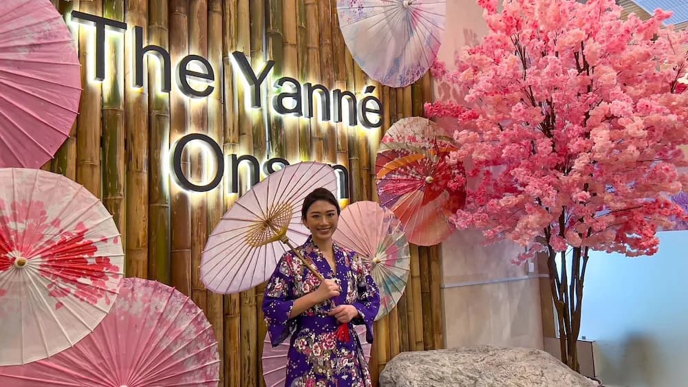 The Yanné, Onsen Hotel - photo 29