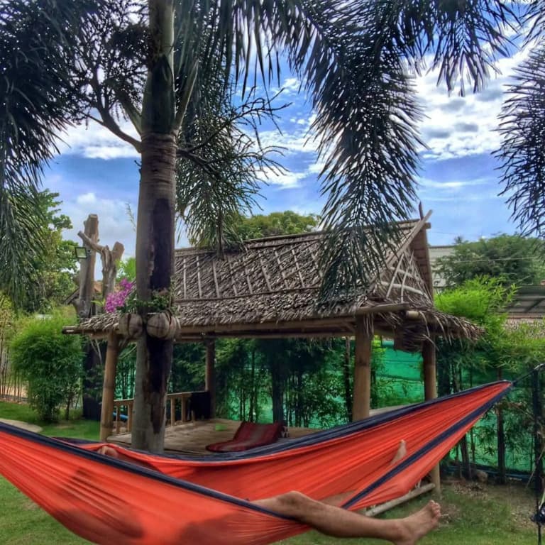 Lazy House Shenanigans - photo 21