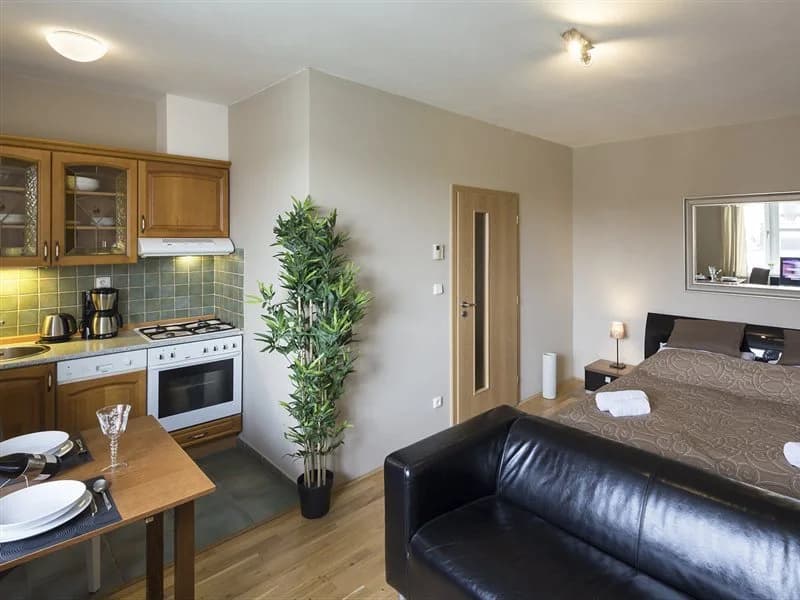 Apartments Wenceslas Square - photo 19