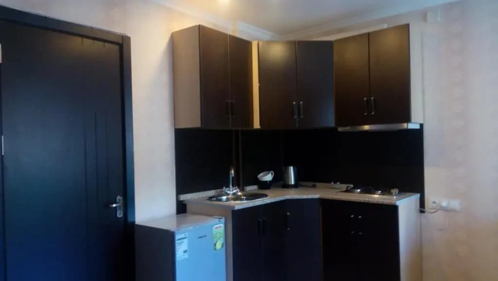 Dadu's Apartment - photo 9