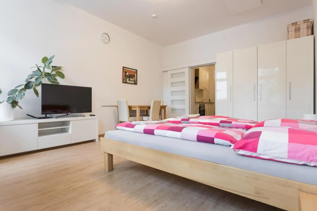 Vienna Smile Apartment Schoenbrunn - photo 9