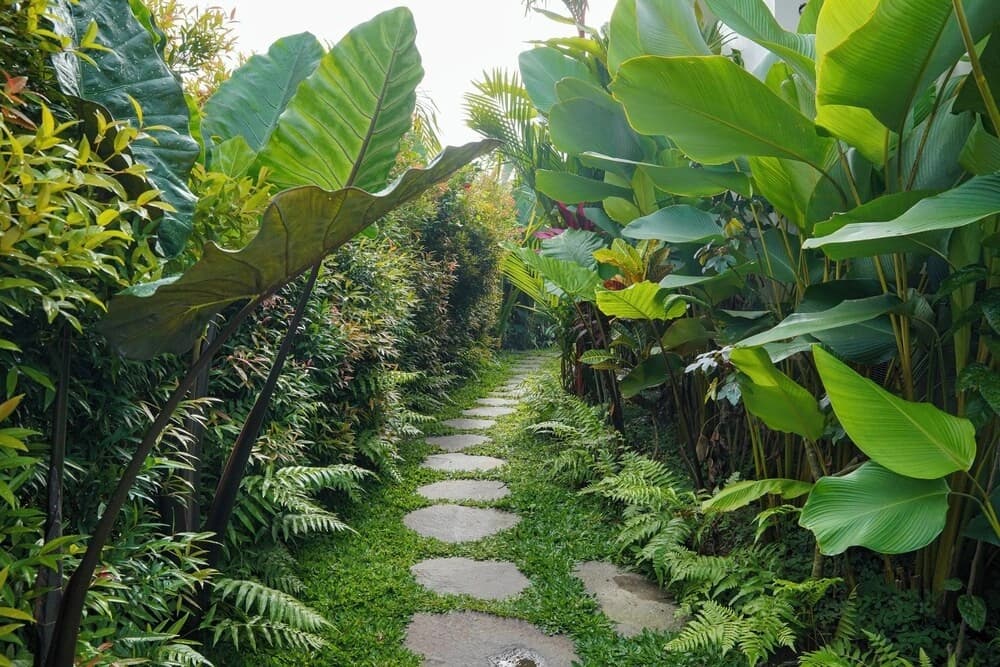 Denaya Ubud Villa - photo 16