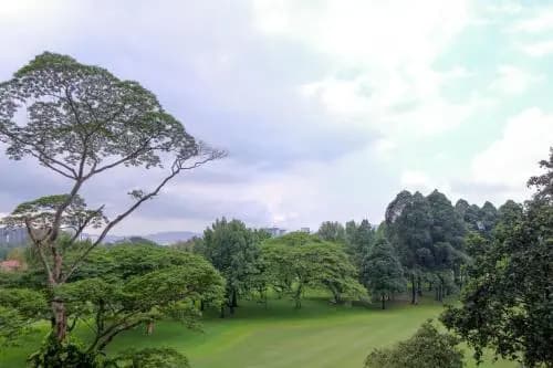 The Horizon Residences - photo 13