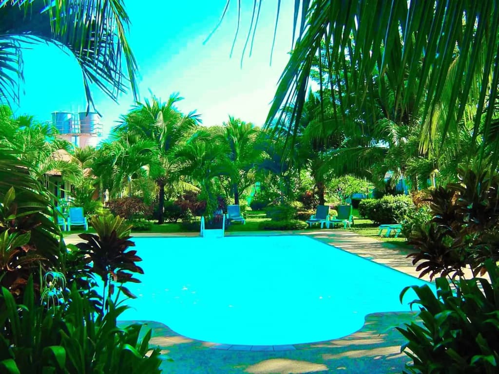The Gold-Digger's Resort - photo 13