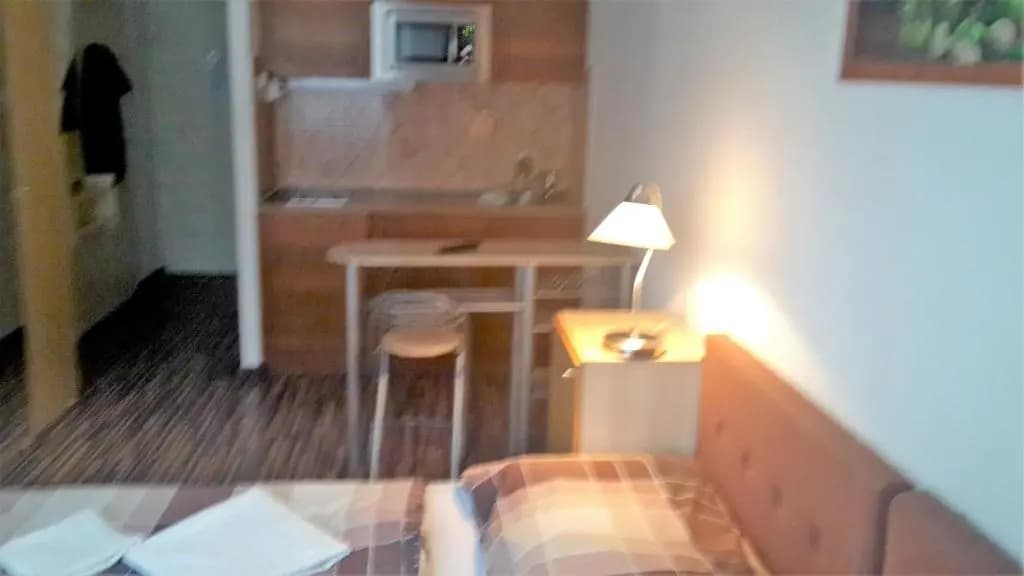Victor Apartment Hotel - photo 4