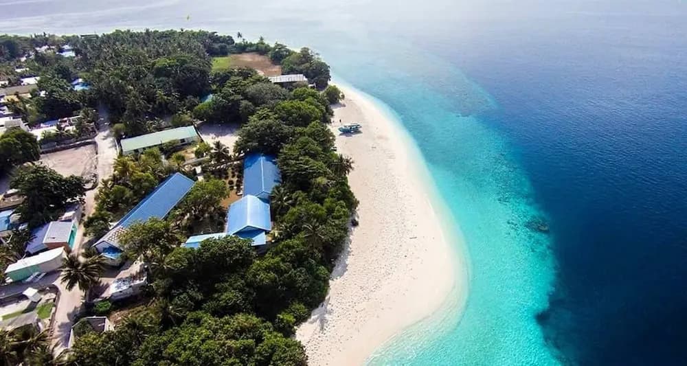Madi Finolhu Guesthouse - photo 20