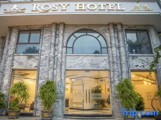 Rosy Hotel - photo 2