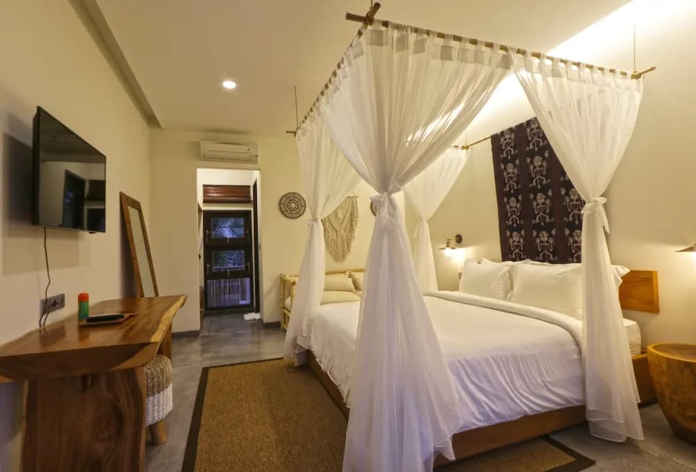 Elite Cassia - photo 4