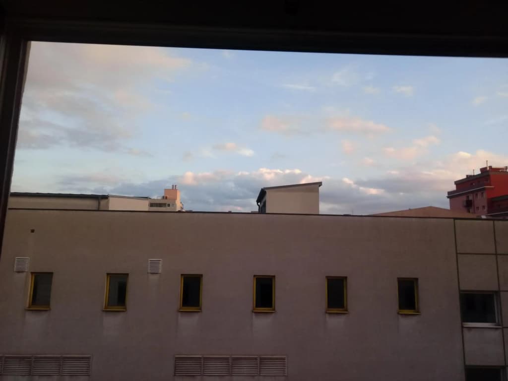 Vienna as it's best - photo 17