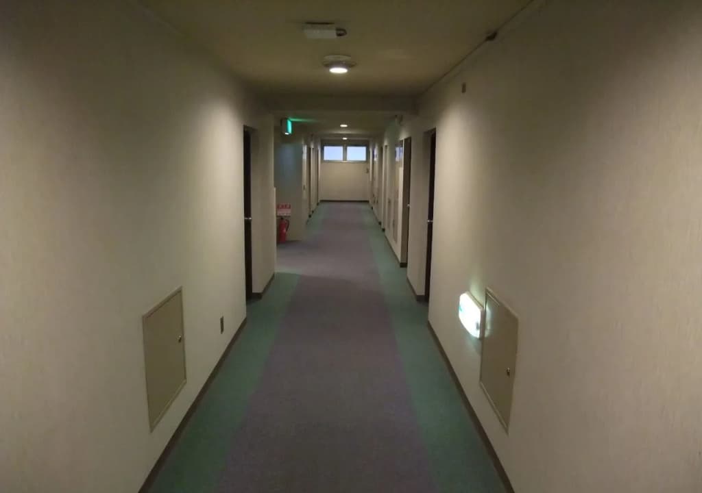 Tateshina Hotel - photo 13