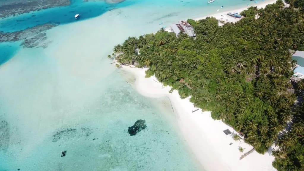 Origami Inn Himandhoo - photo 24