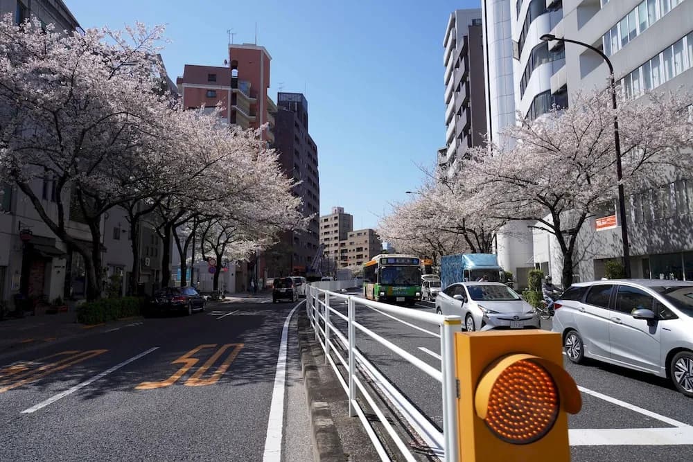 Penthouse 1-bedroom Flat in Hiroo Shibuya - photo 38