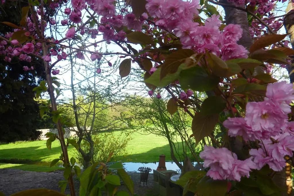 B&B BLoom - photo 3