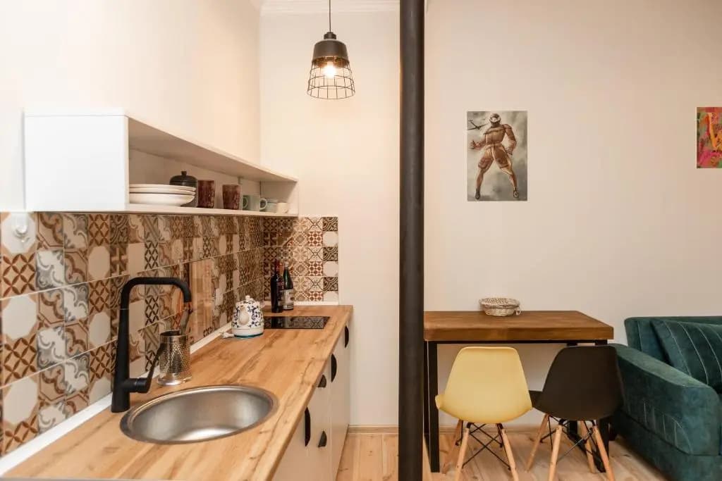 Giorgi's apartment - photo 19