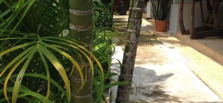 Baan Chang Residence - photo 17