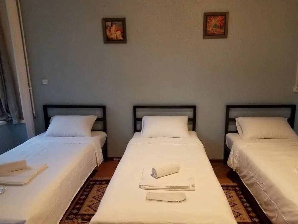 Guest House leonidze - photo 6