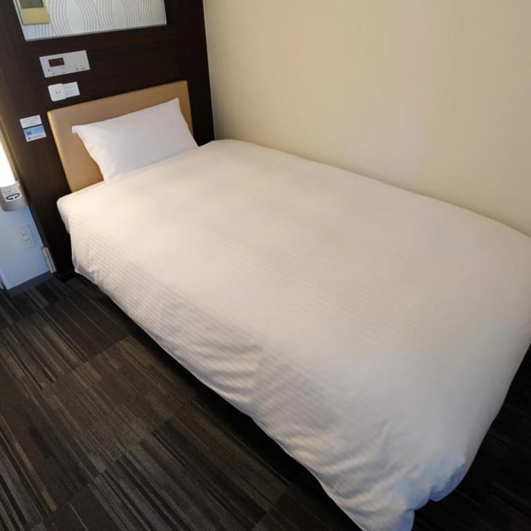Washington R&B Hotel Kamata Higashiguchi - photo 33