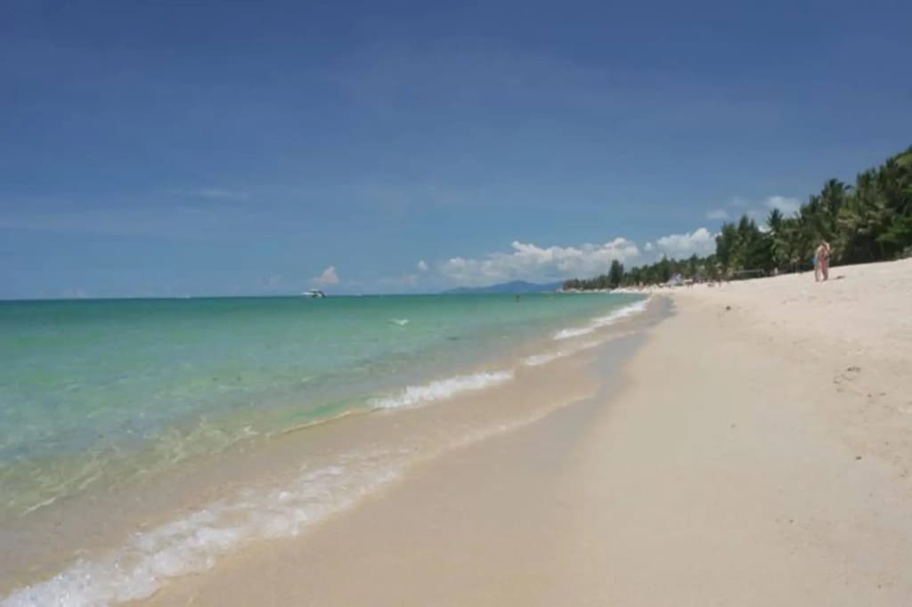 Grand Thai House Resort - photo 15