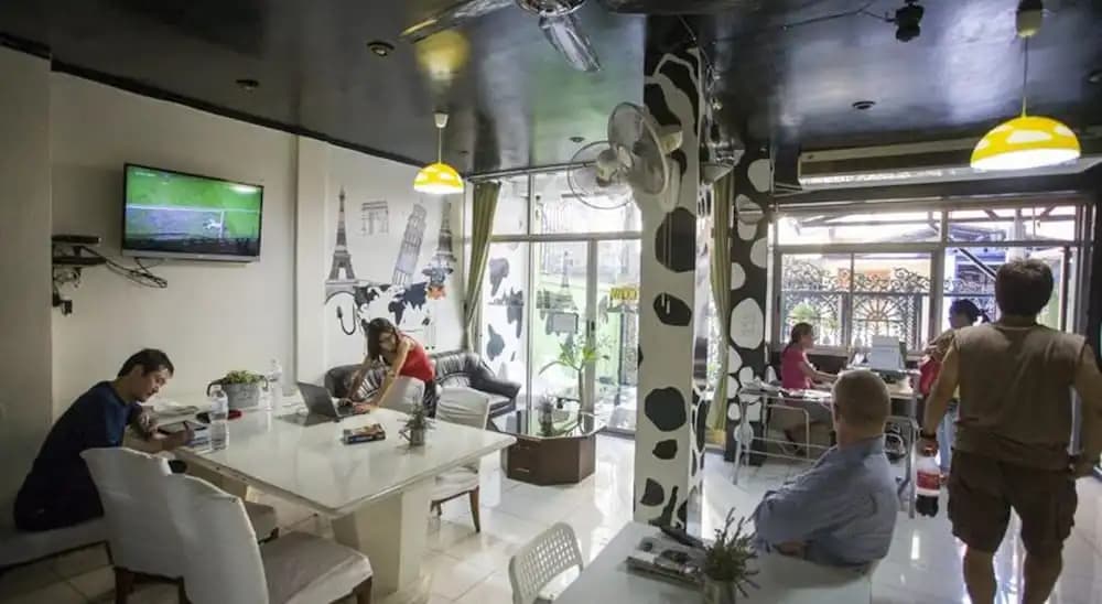Mad Cow Hostel - photo 17