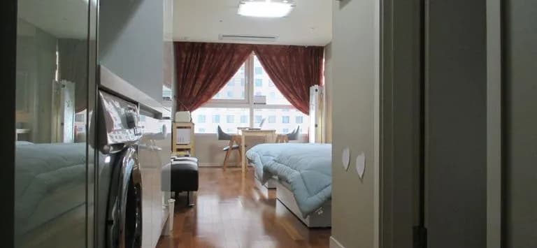 Gwanghwamun Luxury Studio Condo - photo 2
