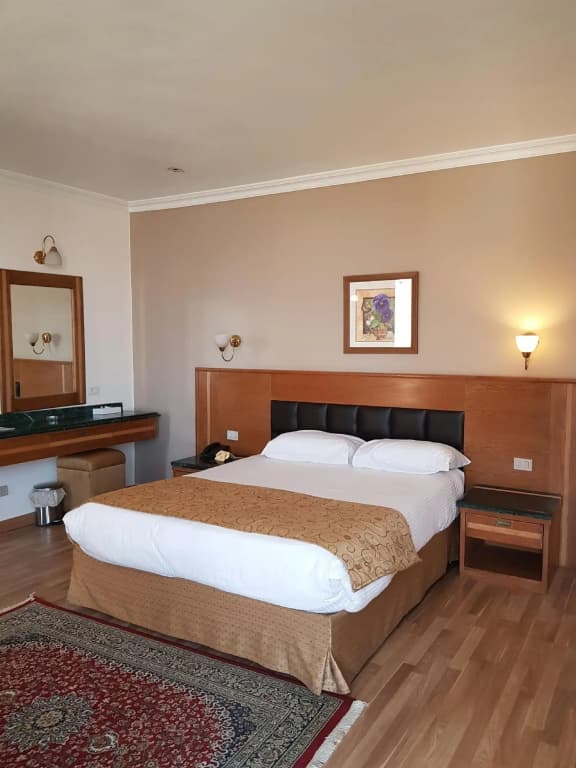 Maadi Hotel - photo 27