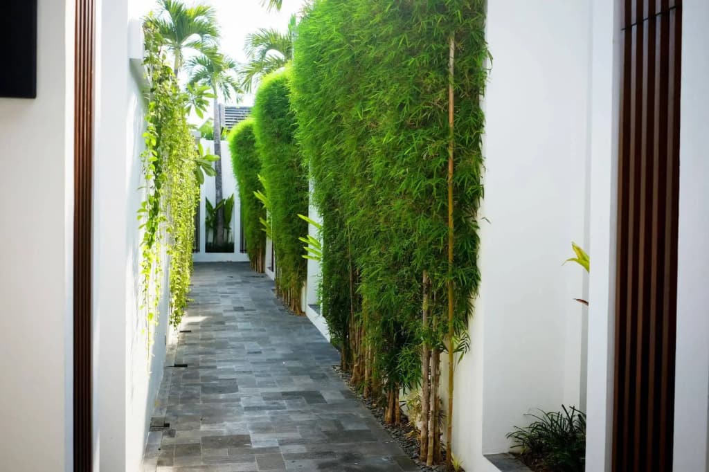 Anari Villas Kuta - photo 22
