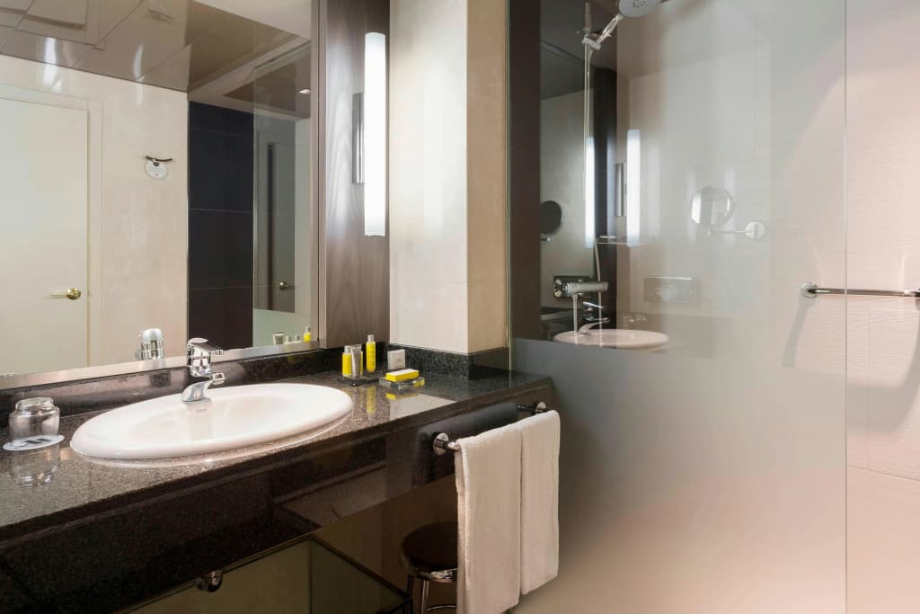 Madrid Marriott Auditorium Hotel & Conference Center - photo 8