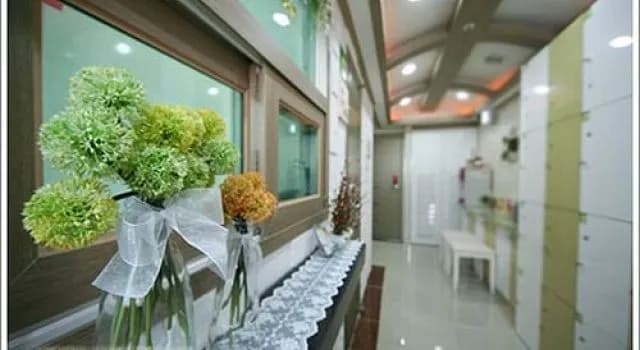 Vision Guesthouse - photo 2