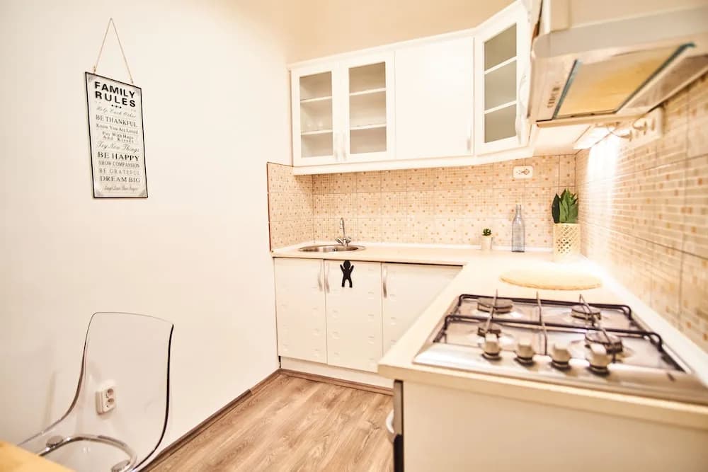 Baron Apartment Budapest - photo 14