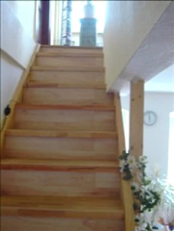 Ferienhaus Berlin - photo 11
