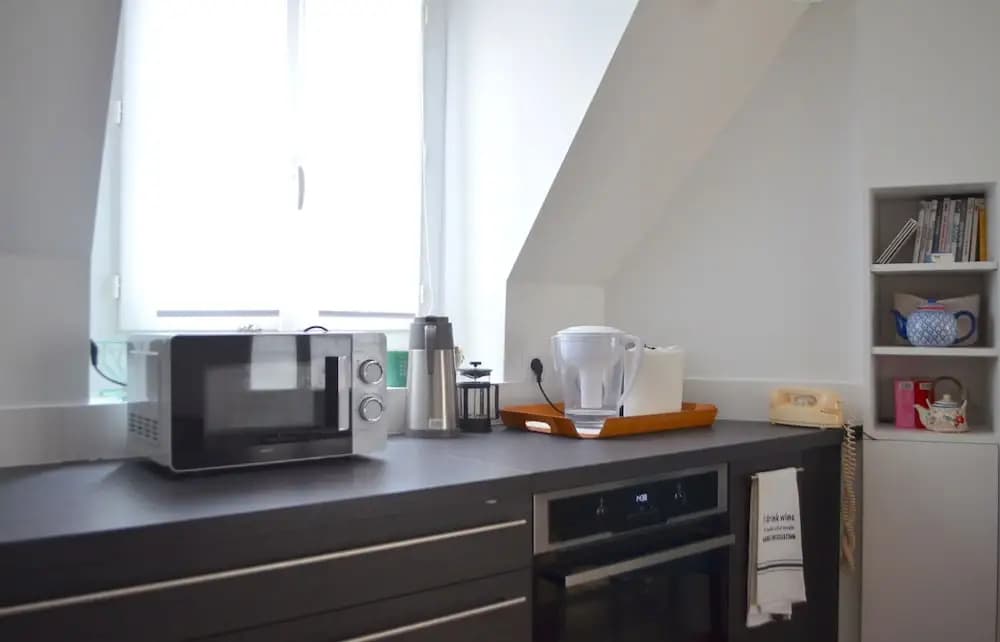 Top Floor Flat Near Bastille - photo 10