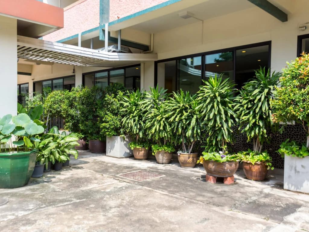 Capital Mansion - photo 16