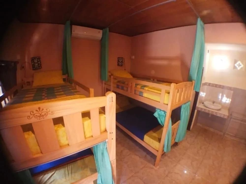 Amel Homestay - photo 4