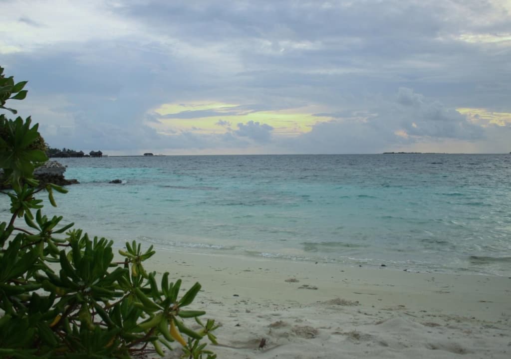 Casa Paguro Bodufolhudhoo - photo 14